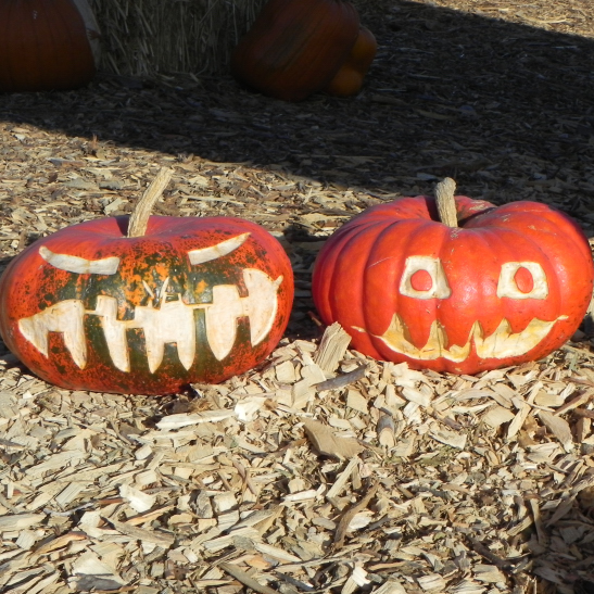 Friends, Nipomo Pumpkin Patch best carving idea